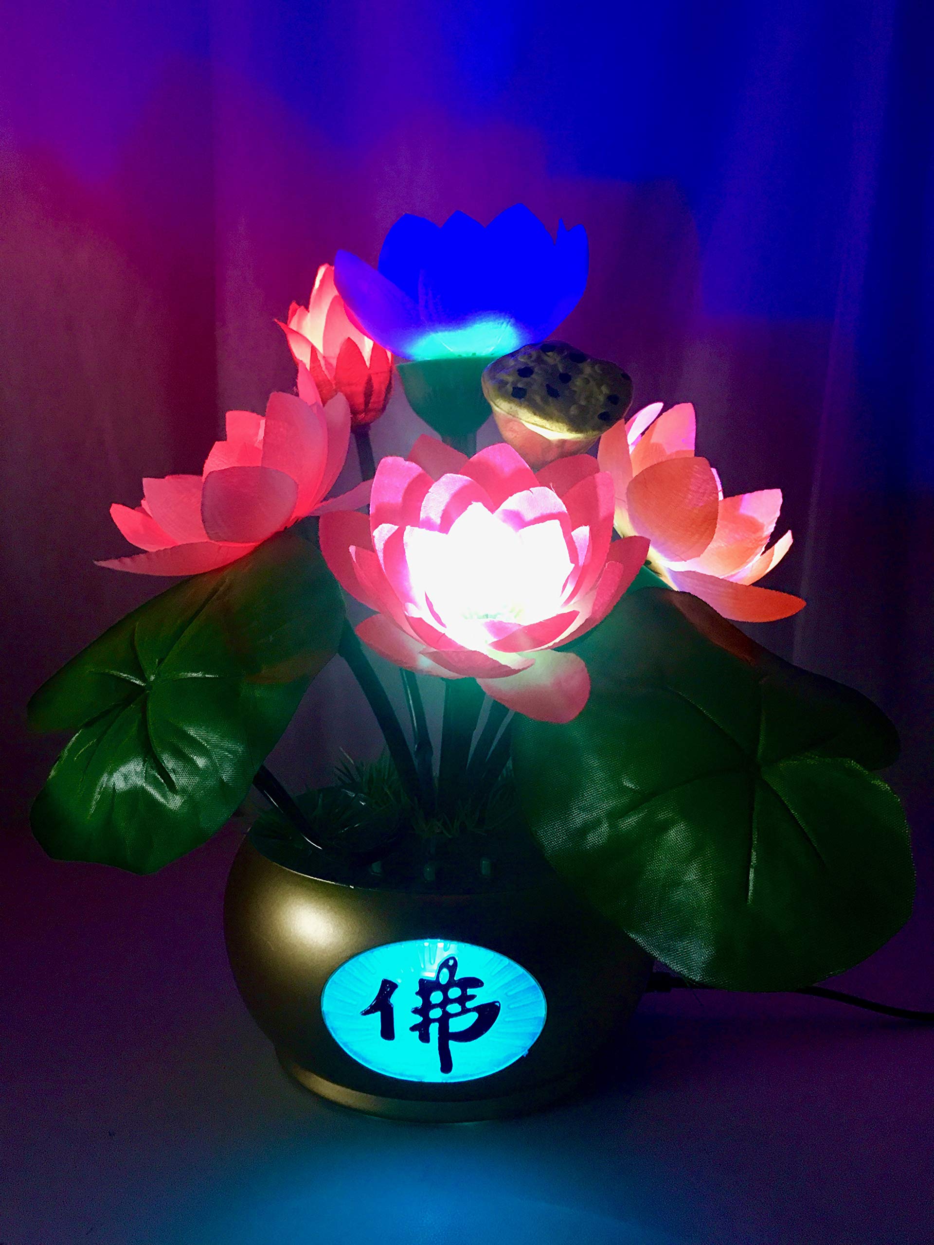 Amazon | ブッダマシーン